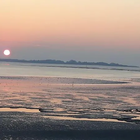 Lejlighed Vue Baie Xxl 180° *